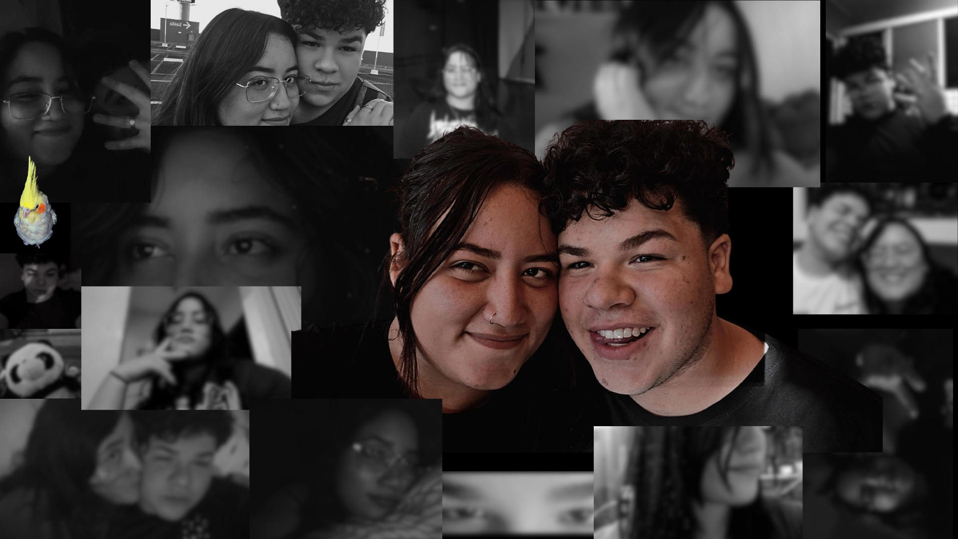 Wallpaper para PC 4